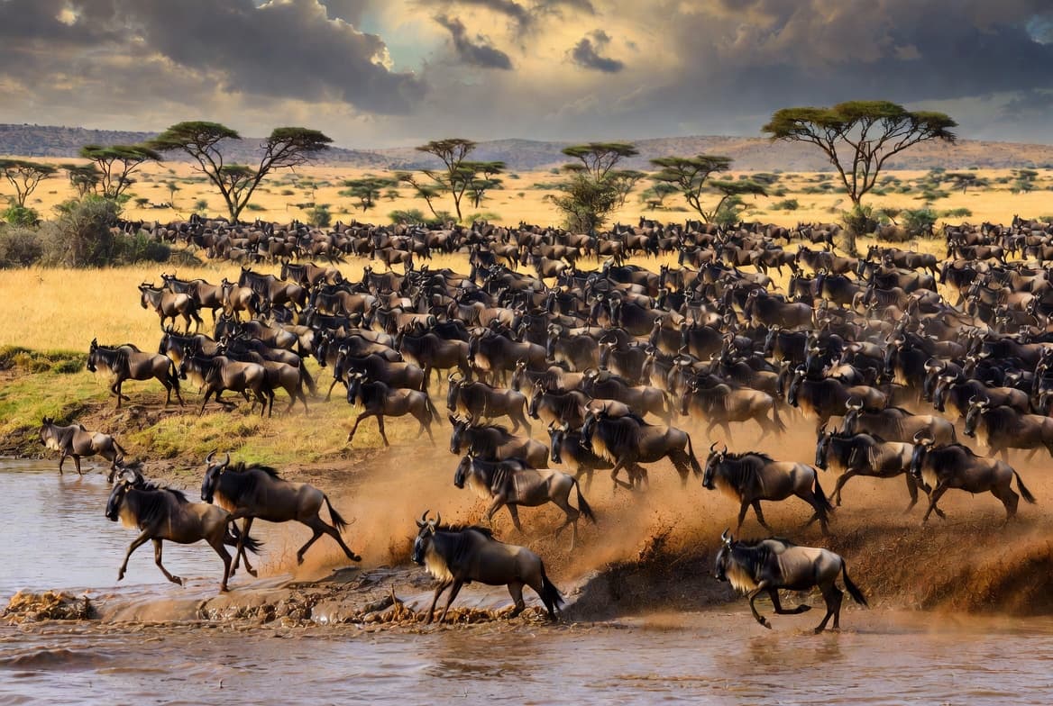 The Great Migration